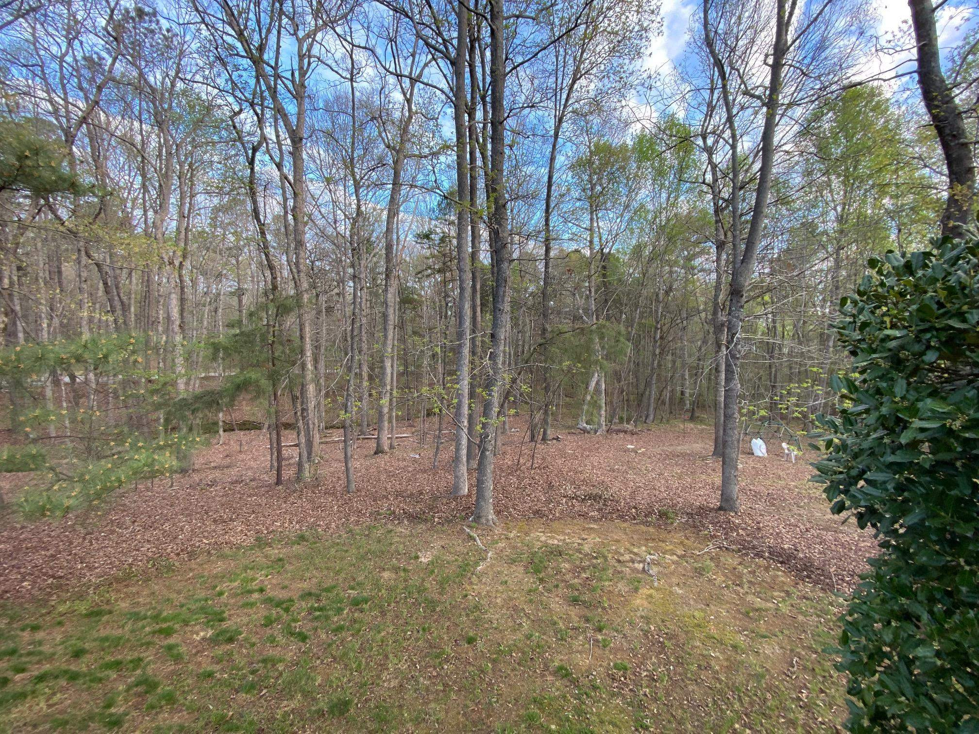 5309 Dover Ridge Lane Durham, NC 27712 - Photo 43 of 49 Photo 43