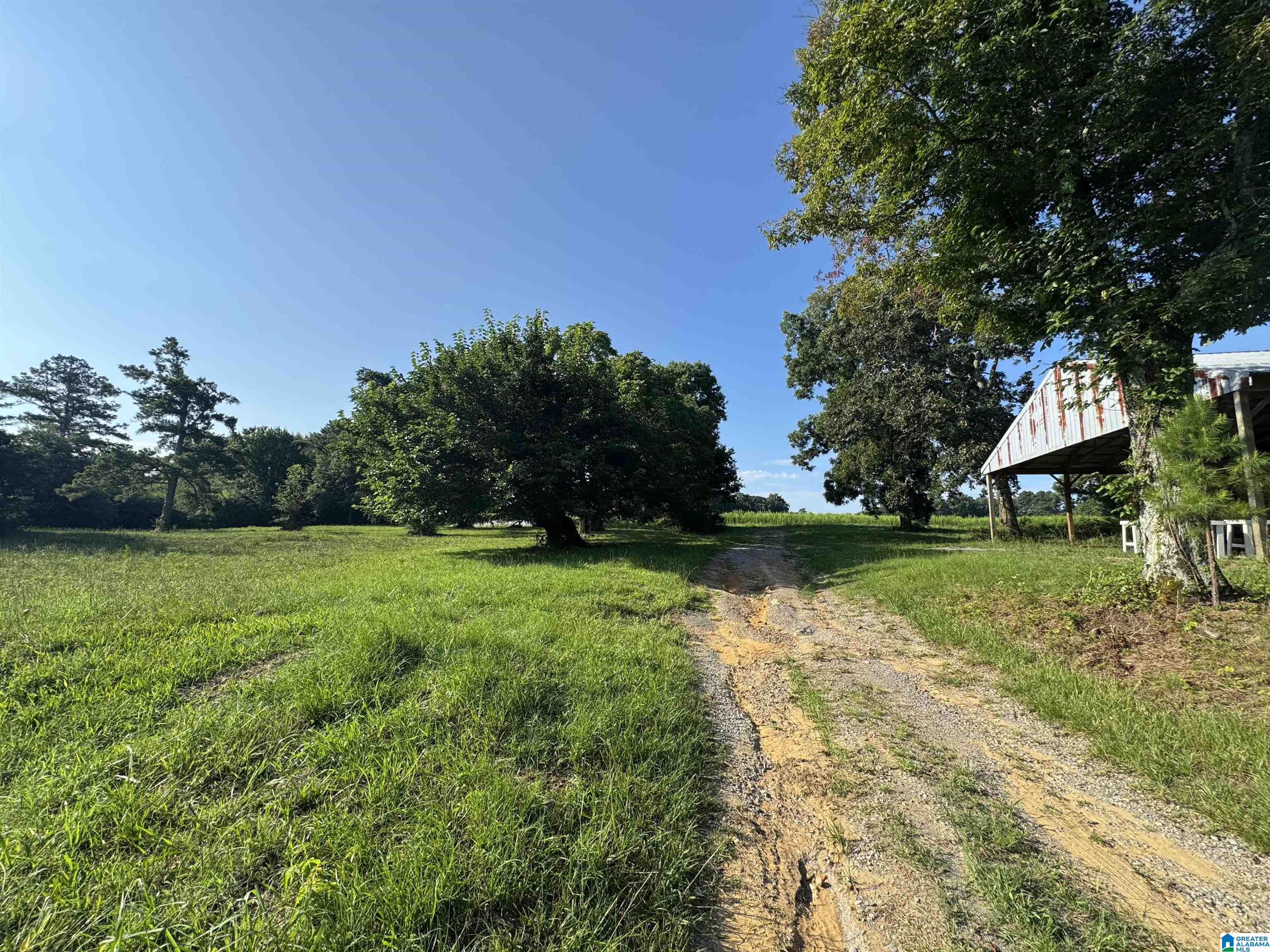 0 County Highway 27, Unit 47 Springville, AL 35146 - Photo 17 of 53