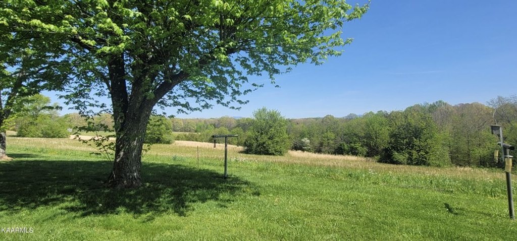 656 Oak Grove Road Madisonville, TN 37354 - Photo 4 of 11 Gallery Image 4