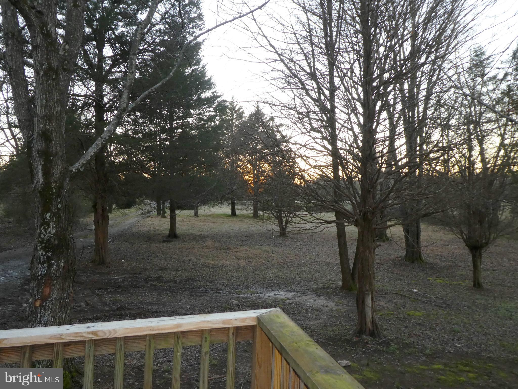 10029 Eggbornsville Road Rixeyville, VA 22737 - Photo 13 of 14 Front yard