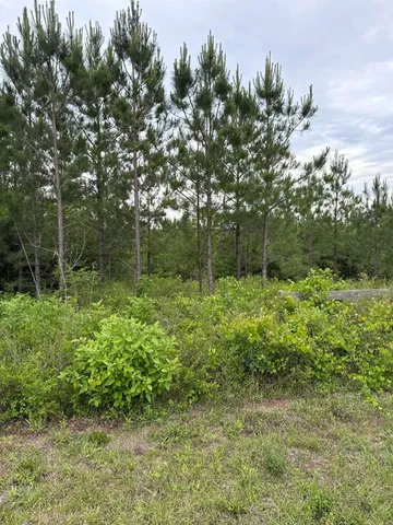 $85,000 | 0 Northwest Church Road, Altha, FL 32421