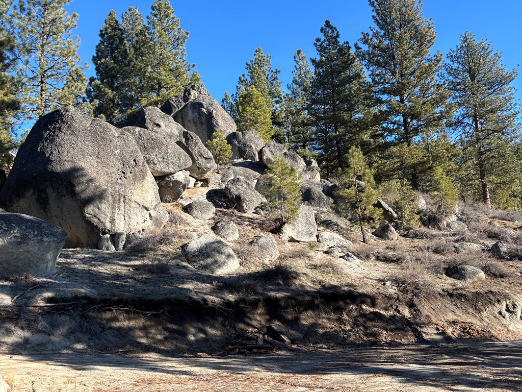 28 Sarah Way, Unit 9 Cascade, ID 83611 - Photo 4 of 20 Awesome rock art!