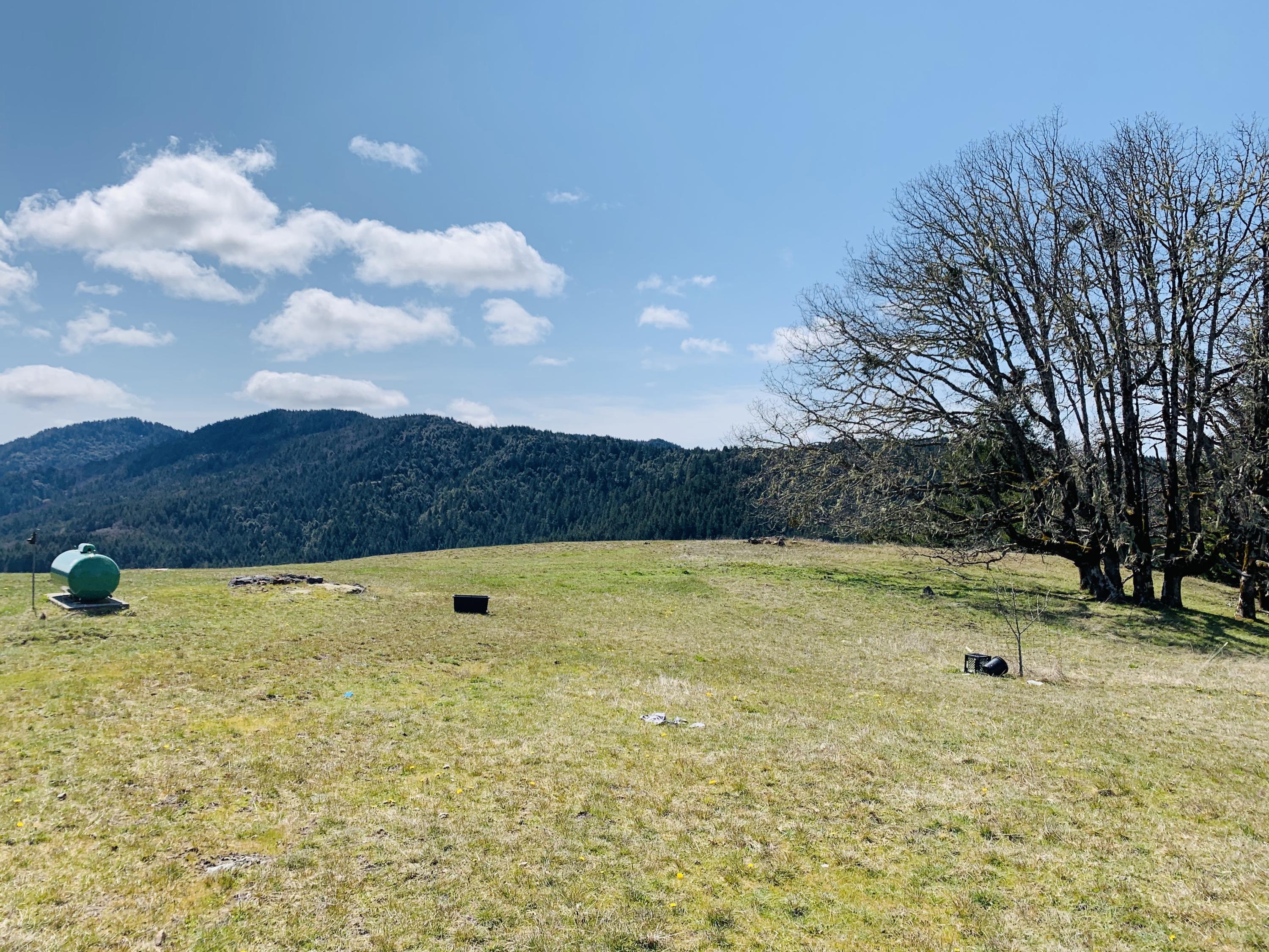 1700 Larabee Valley Road Bridgeville, CA 95526 - Photo 2 of 25