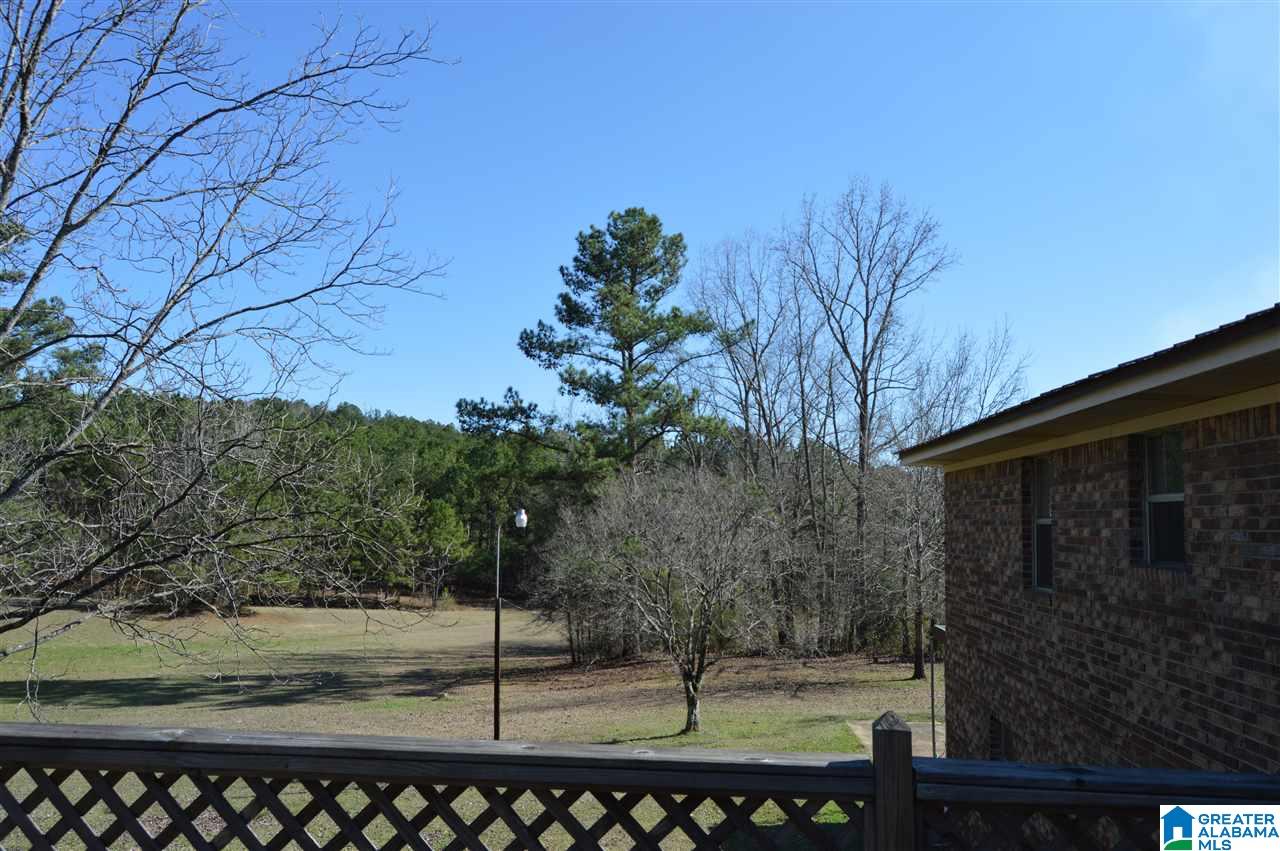 6269 Bibby Brickyard Road Dora, AL 35062 - Photo 2 of 32