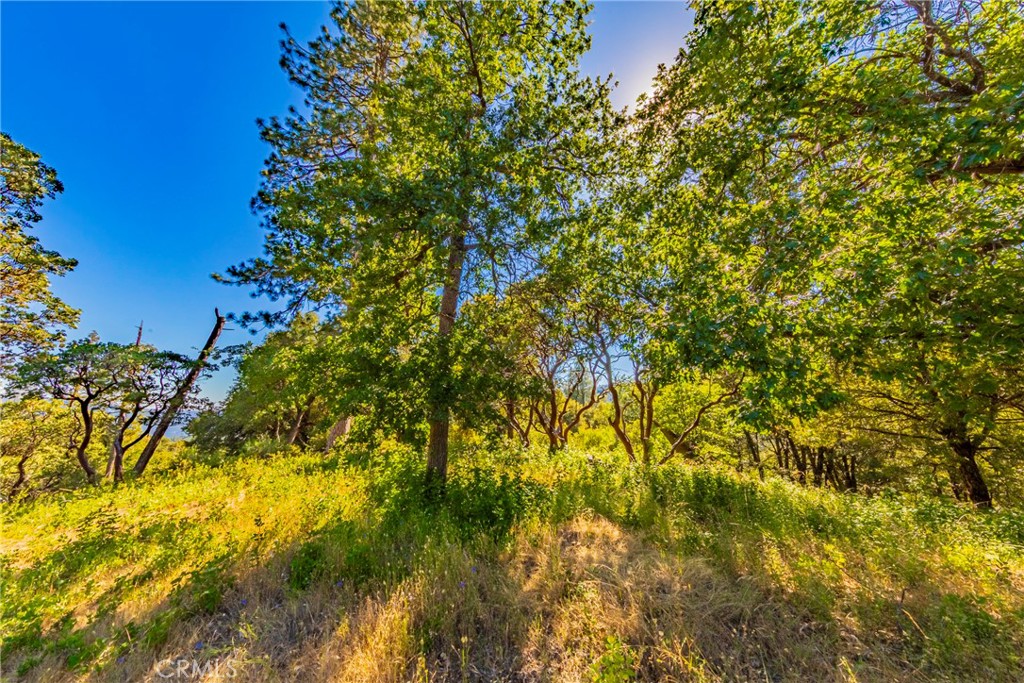 0 3 Springs Road Oakhurst, CA 93644 - Photo 8 of 20