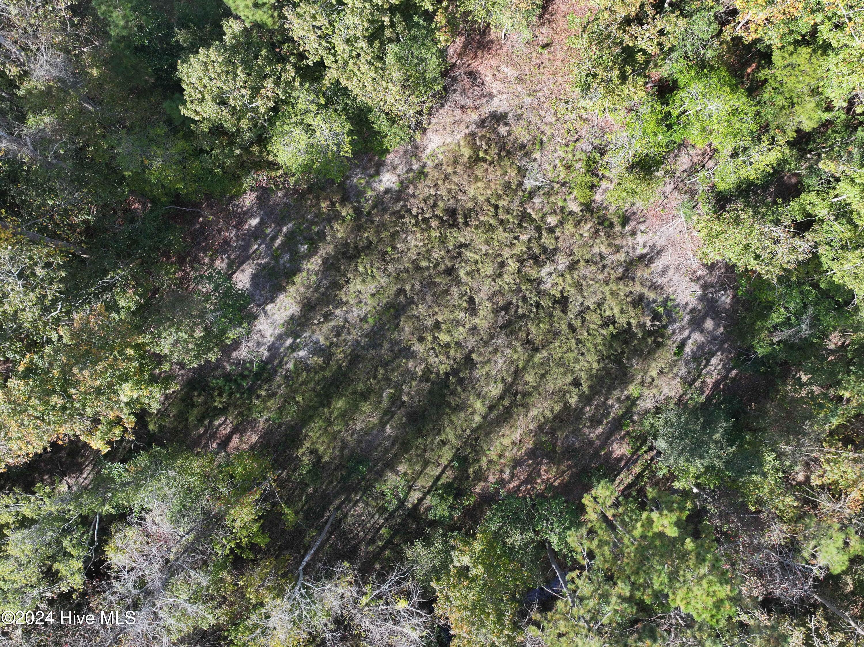 Lot 142 North Line Drive Hampstead, NC 28443 - Photo 4 of 5 dji_fly_20241104_134200_0067_17307459210