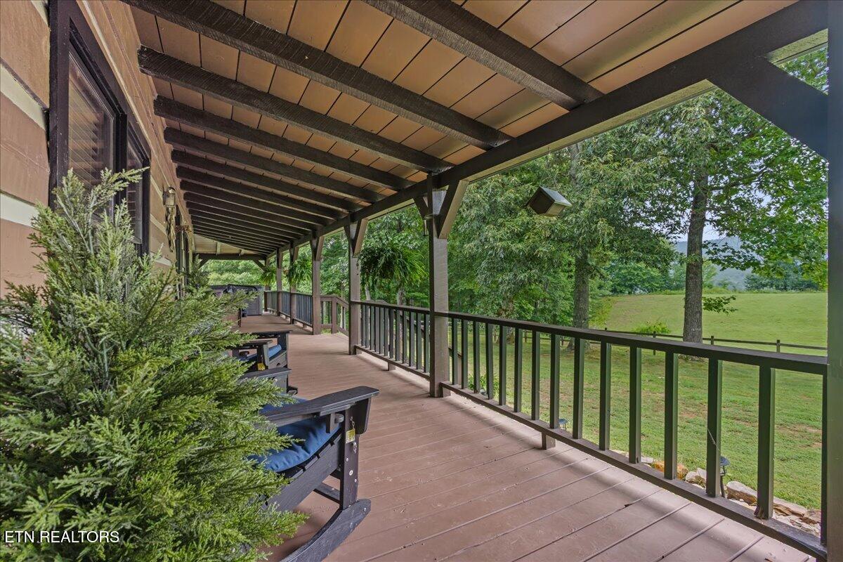 160 Rural Vale Road Tellico Plains, TN 37385 - Photo 16 of 51 18-160 Rural Vale Rd-17