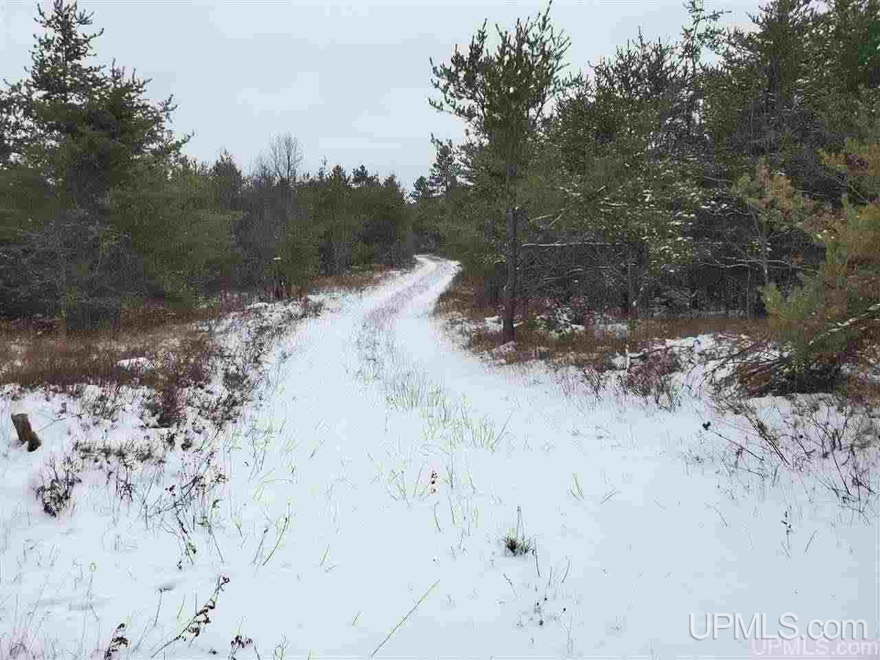 40 Acres Off Bryan Creek Road Ishpeming, MI 49849 - Photo 1 of 5