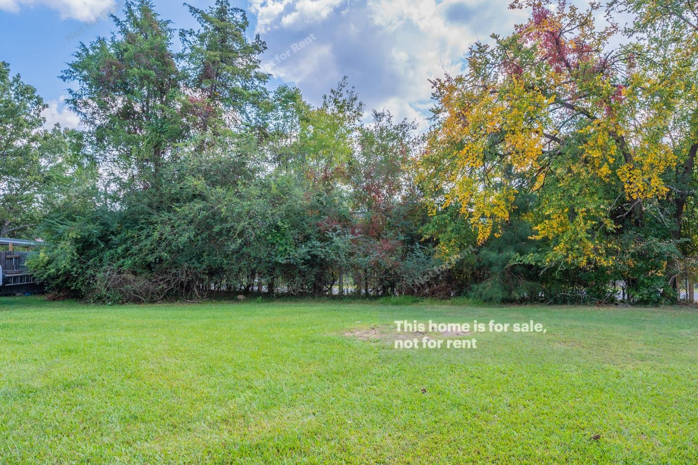 2429 Landis Drive Durham, NC 27705 - Photo 19 of 20 Photo 21