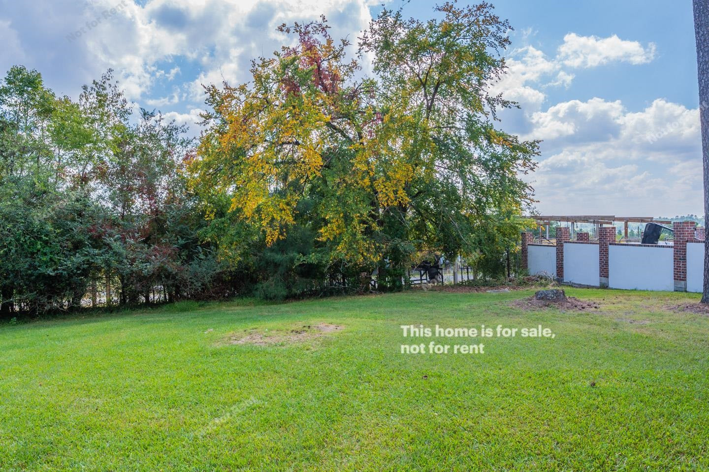 2429 Landis Drive Durham, NC 27705 - Photo 20 of 20 Photo 22