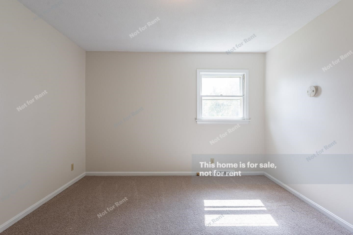 2429 Landis Drive Durham, NC 27705 - Photo 8 of 20 Photo 8