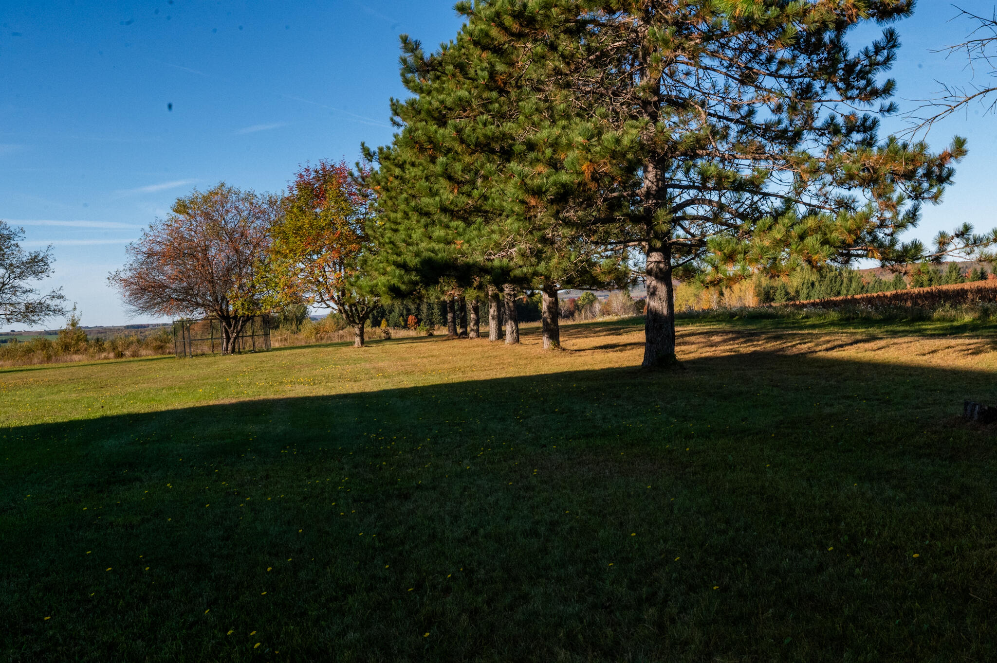 118 Conant Road Presque Isle, ME 04769 - Photo 89 of 93 Photo Oct 02 2025, 4 32 07 PM