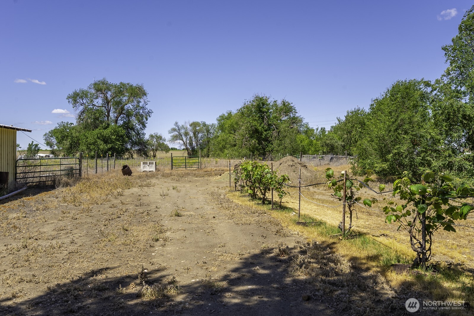 4934 Rd L.9 Northeast Moses Lake, WA 98837 - Photo 9 of 31