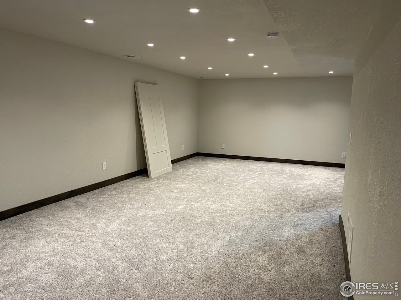 441 Surrey Ridge Eaton, CO 80615 - Photo 17 of 25 Basement Living Area