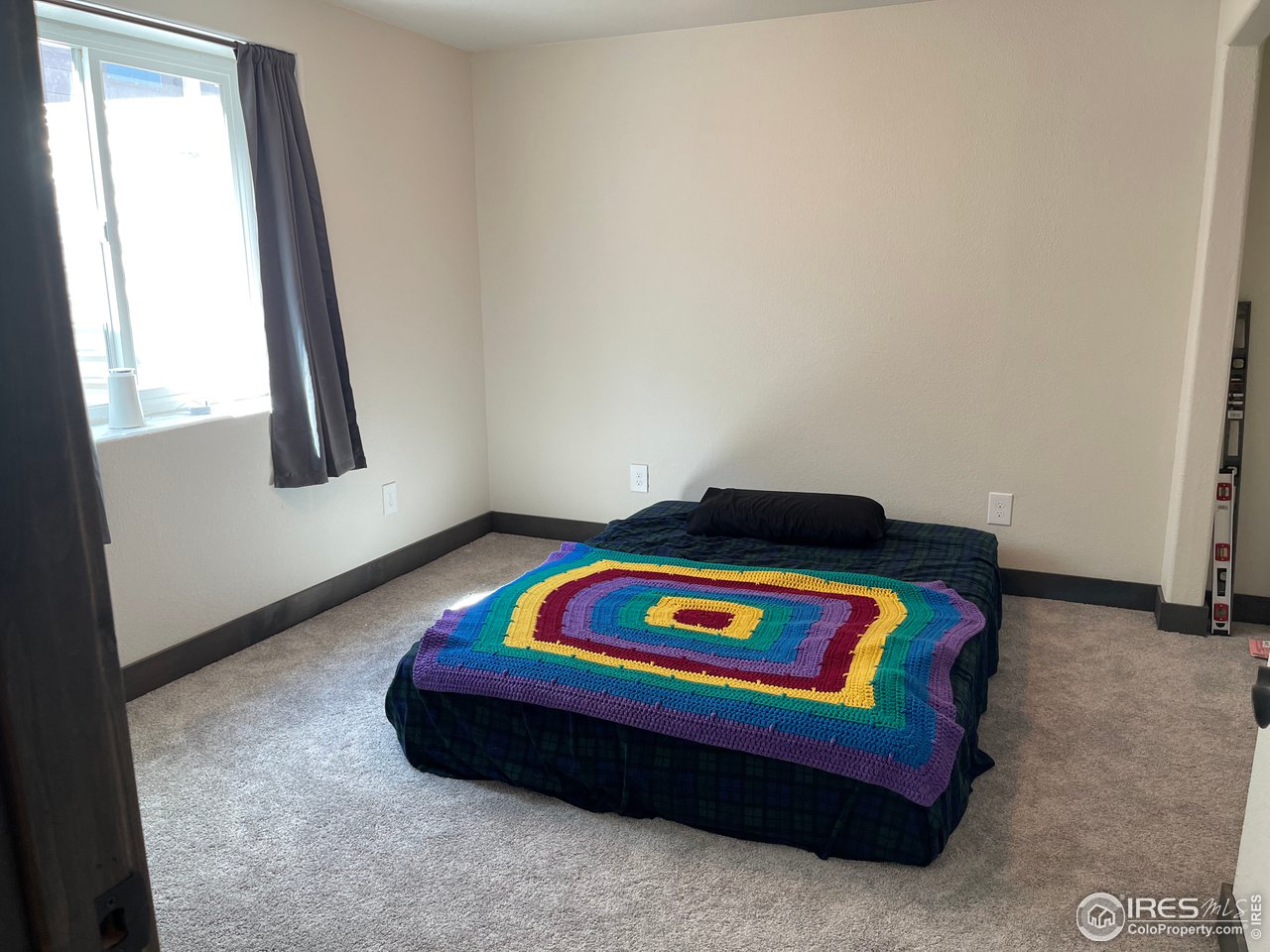 441 Surrey Ridge Eaton, CO 80615 - Photo 19 of 25 Basement Bed (both are similar)