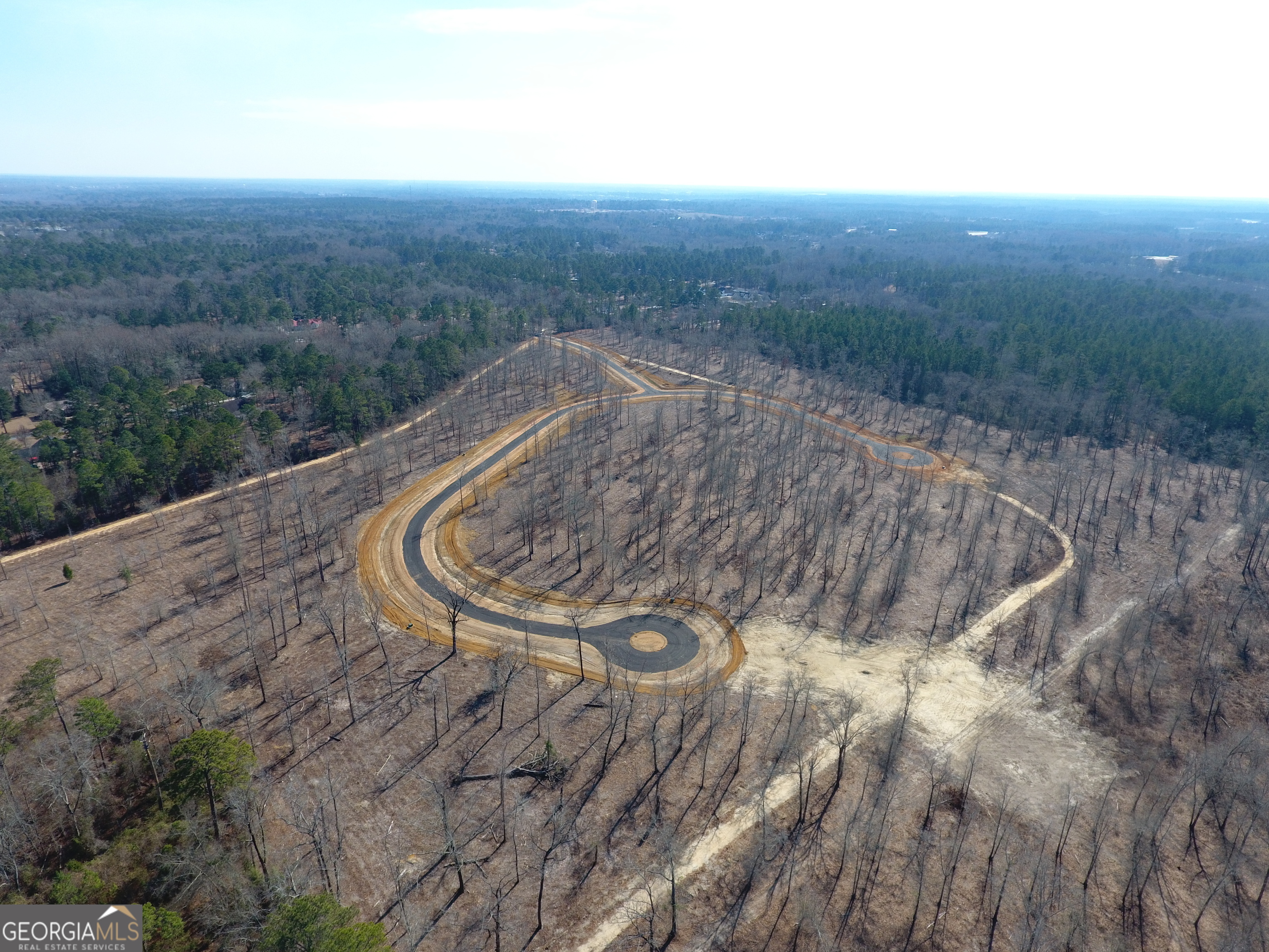 0 Holly Ridge Road Dublin, GA 31021 - Photo 3 of 6