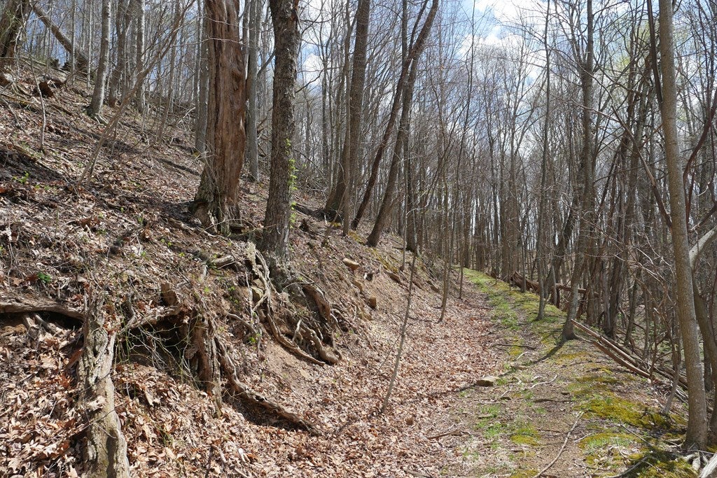 Tbd Unity Road, Unit 1 North Tazewell, VA 24630 - Photo 43 of 92 Gallery Image 43