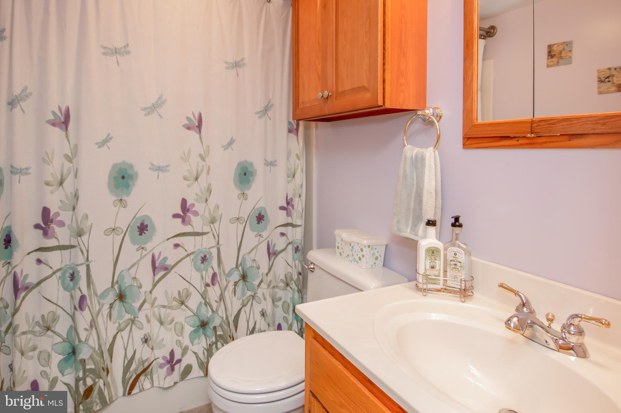 3121 Coon Club Road Hampstead, MD 21074 - Photo 36 of 42 third full bath on lower level