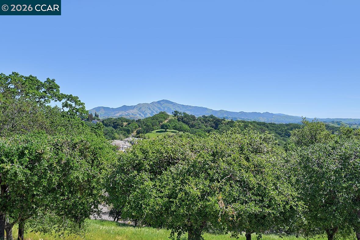 a view of a lush green outdoor space with a lake view