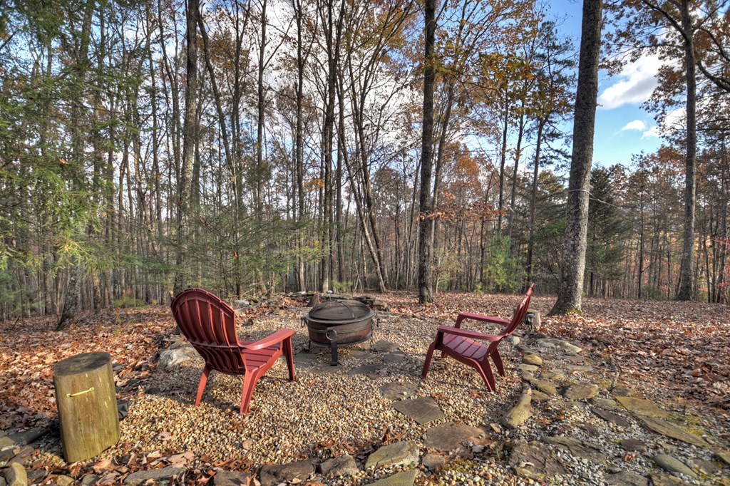 462 Lower Prince Mountain Road Cherry Log, GA 30522 - Photo 42 of 46 Gallery Image 42