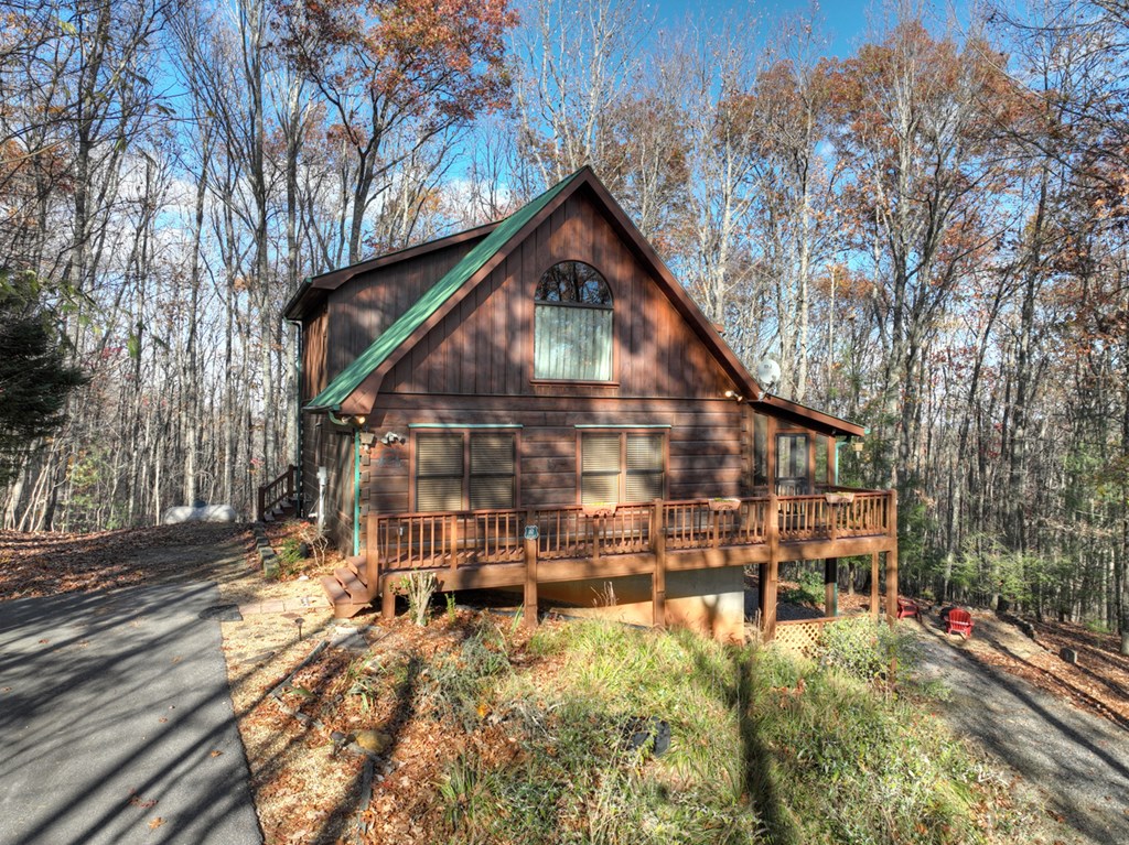 462 Lower Prince Mountain Road Cherry Log, GA 30522 - Photo 46 of 46 Gallery Image 46