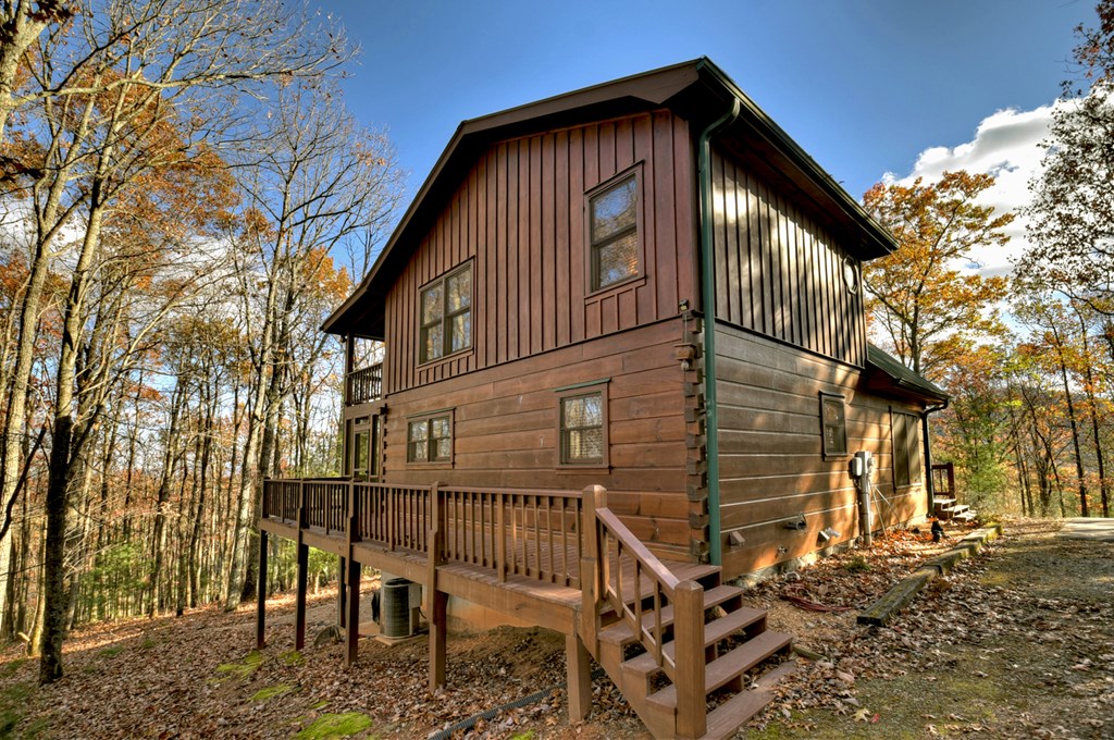 462 Lower Prince Mountain Road Cherry Log, GA 30522 - Photo 7 of 46 Gallery Image 7
