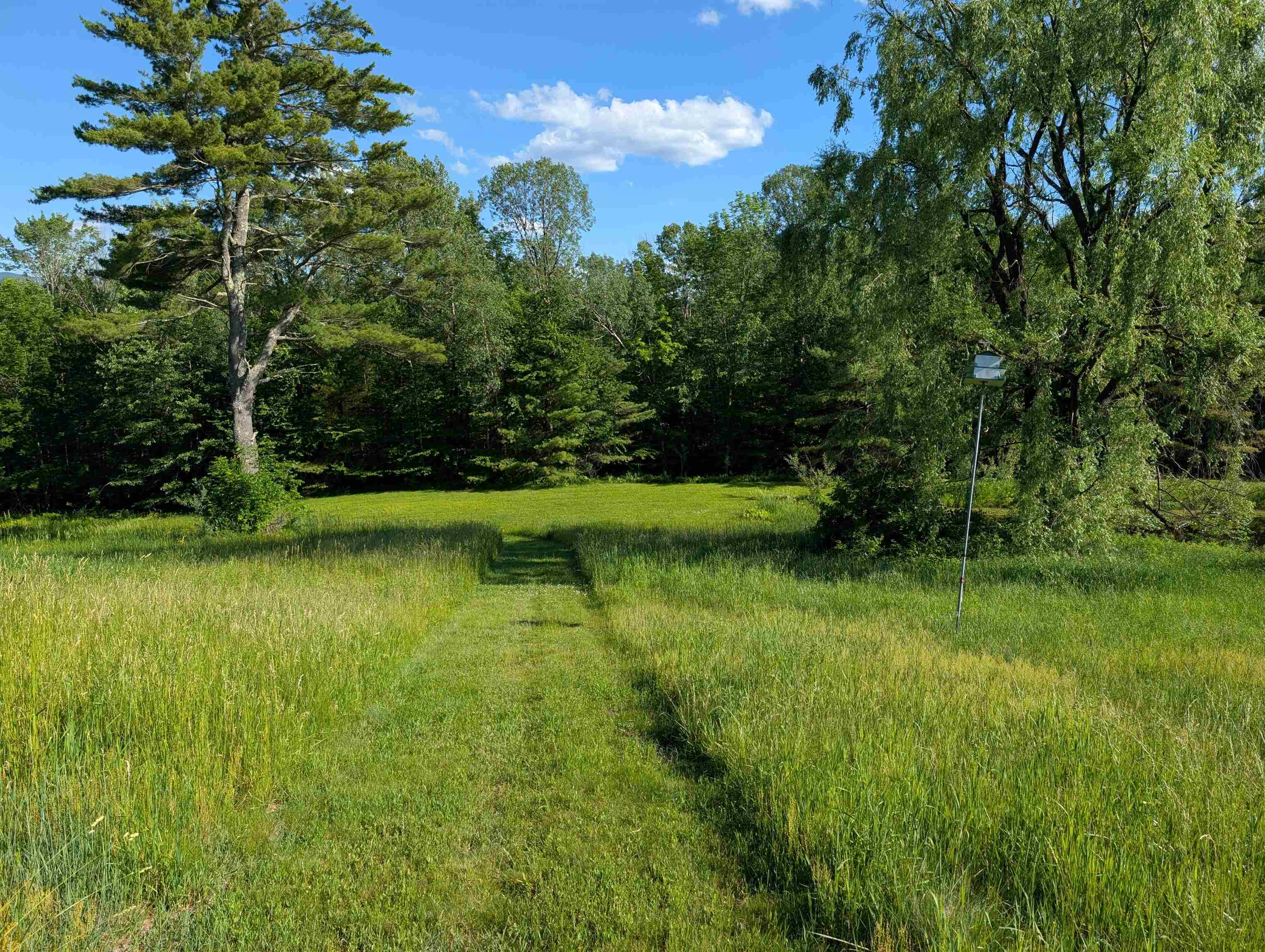 163 Maple Ridge Road Sandwich, NH 03259 - Photo 3 of 59