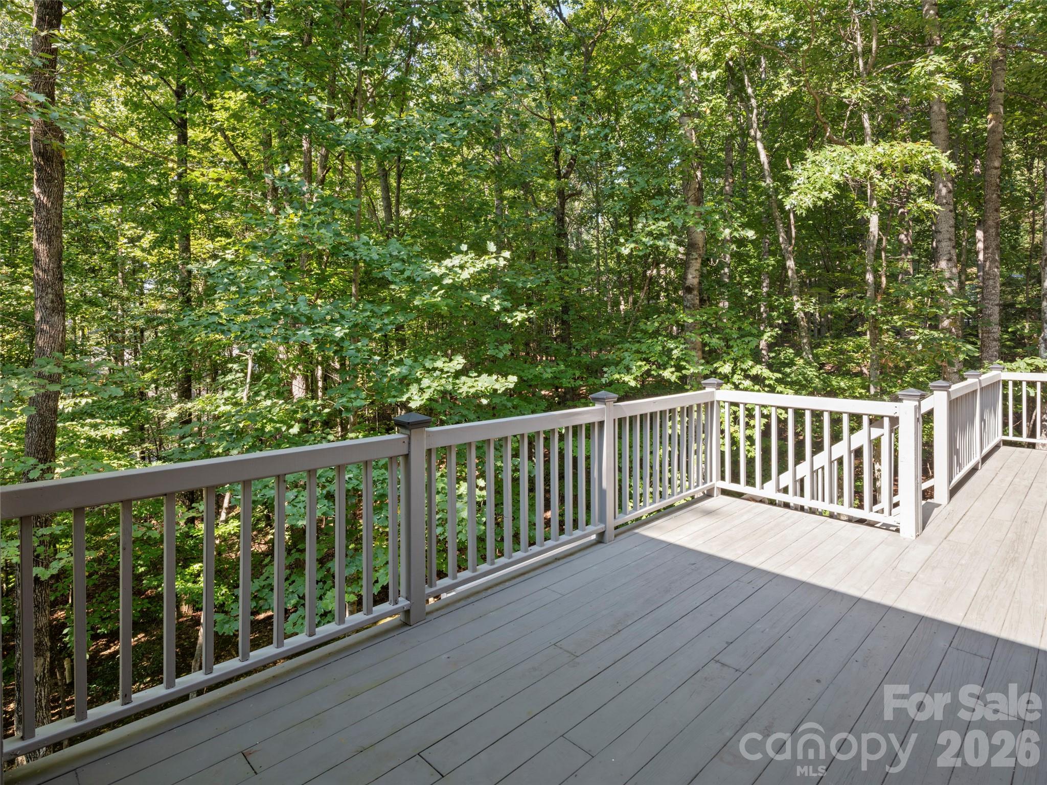 108 Little Cherokee Ridge Hendersonville, NC 28739 - Photo 24 of 39 Gallery Image 24