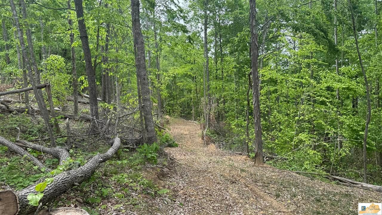 0 Black Beard Road Edmonton, KY 42129 - Photo 26 of 44 Gallery Image 26