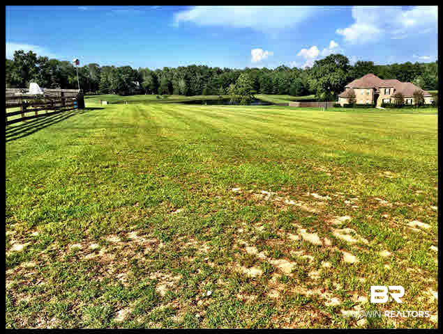 0 Deer Ridge Drive Wilmer, AL 36587 - Photo 5 of 17