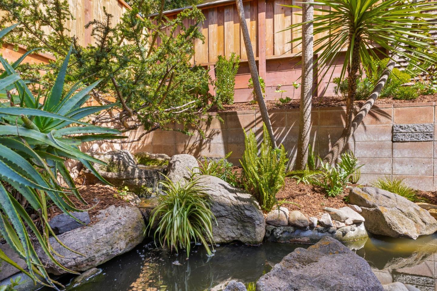 1337 Henry Street, Unit E Berkeley, CA 94709 - Photo 27 of 33 a view of a palm tree with a plant