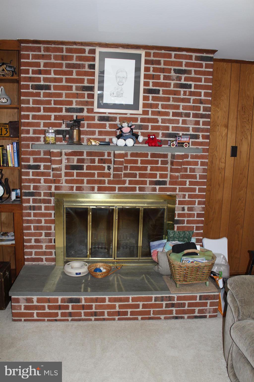2883 Blue Ball Road Elkton, MD 21921 - Photo 12 of 24 Wood burning fireplace in family room