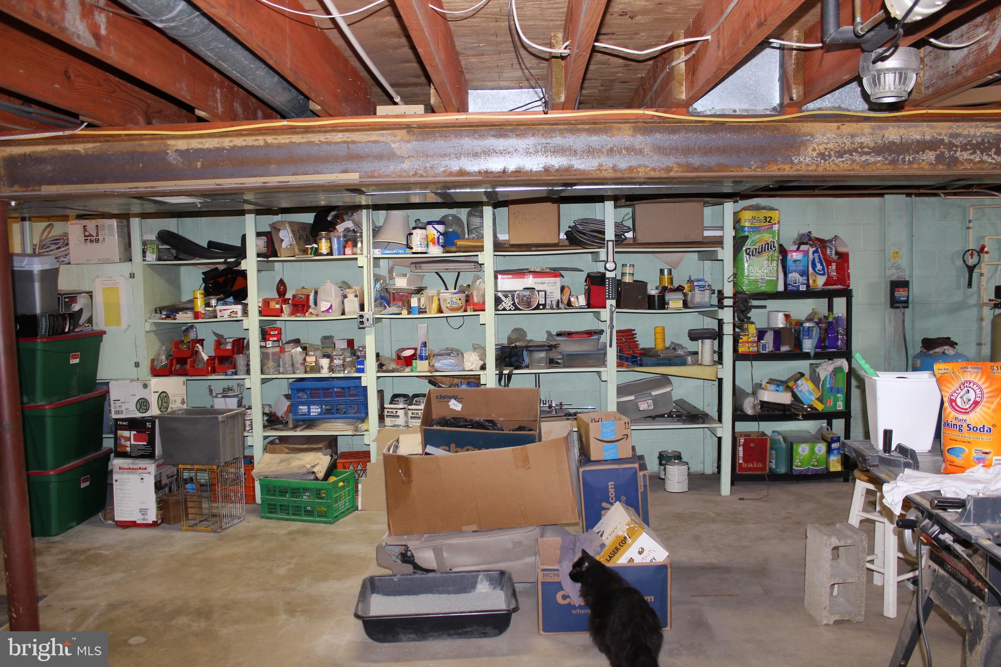 2883 Blue Ball Road Elkton, MD 21921 - Photo 17 of 24 fulll dry basement with plenty of storage