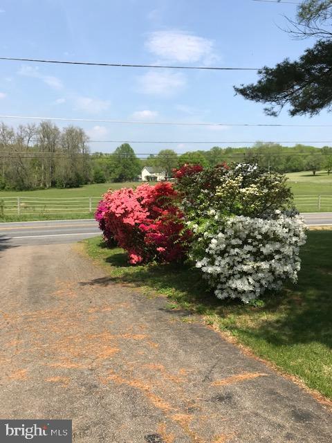 2883 Blue Ball Road Elkton, MD 21921 - Photo 22 of 24 driveway