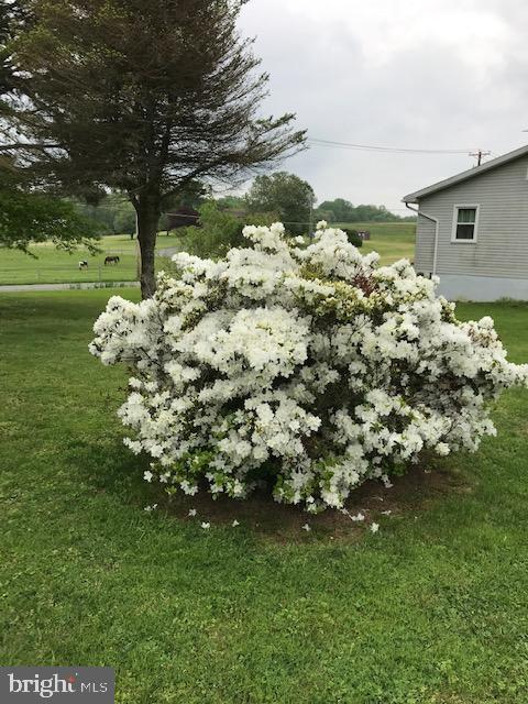 2883 Blue Ball Road Elkton, MD 21921 - Photo 23 of 24 yard