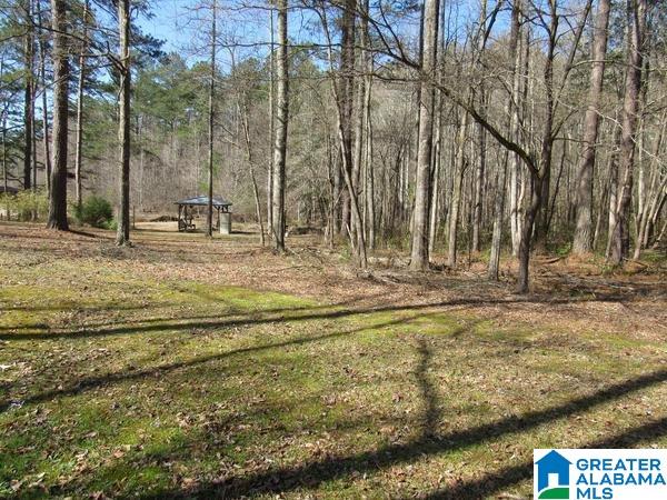 262 South Forty Road Lineville, AL 36266 - Photo 11 of 39