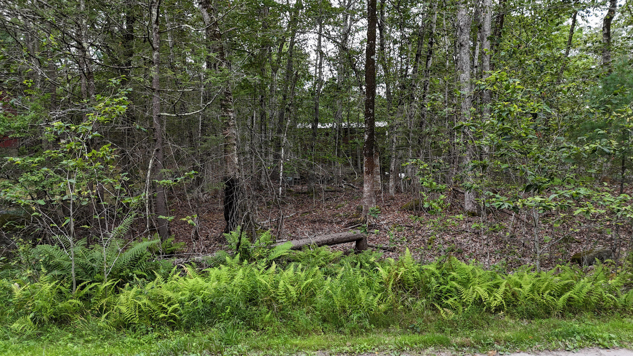17 North Beach Road Frye Island, ME 04084 - Photo 13 of 13 Vacant Lot