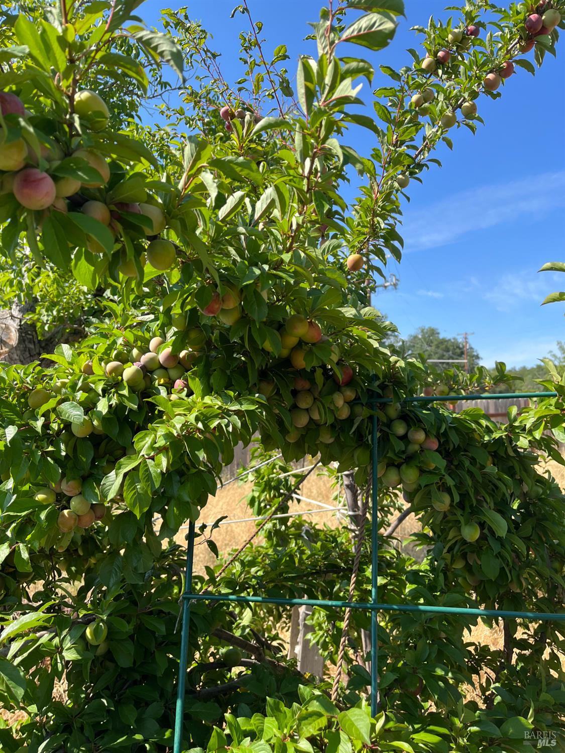 2192 Riggs Road Lakeport, CA 95453 - Photo 14 of 16