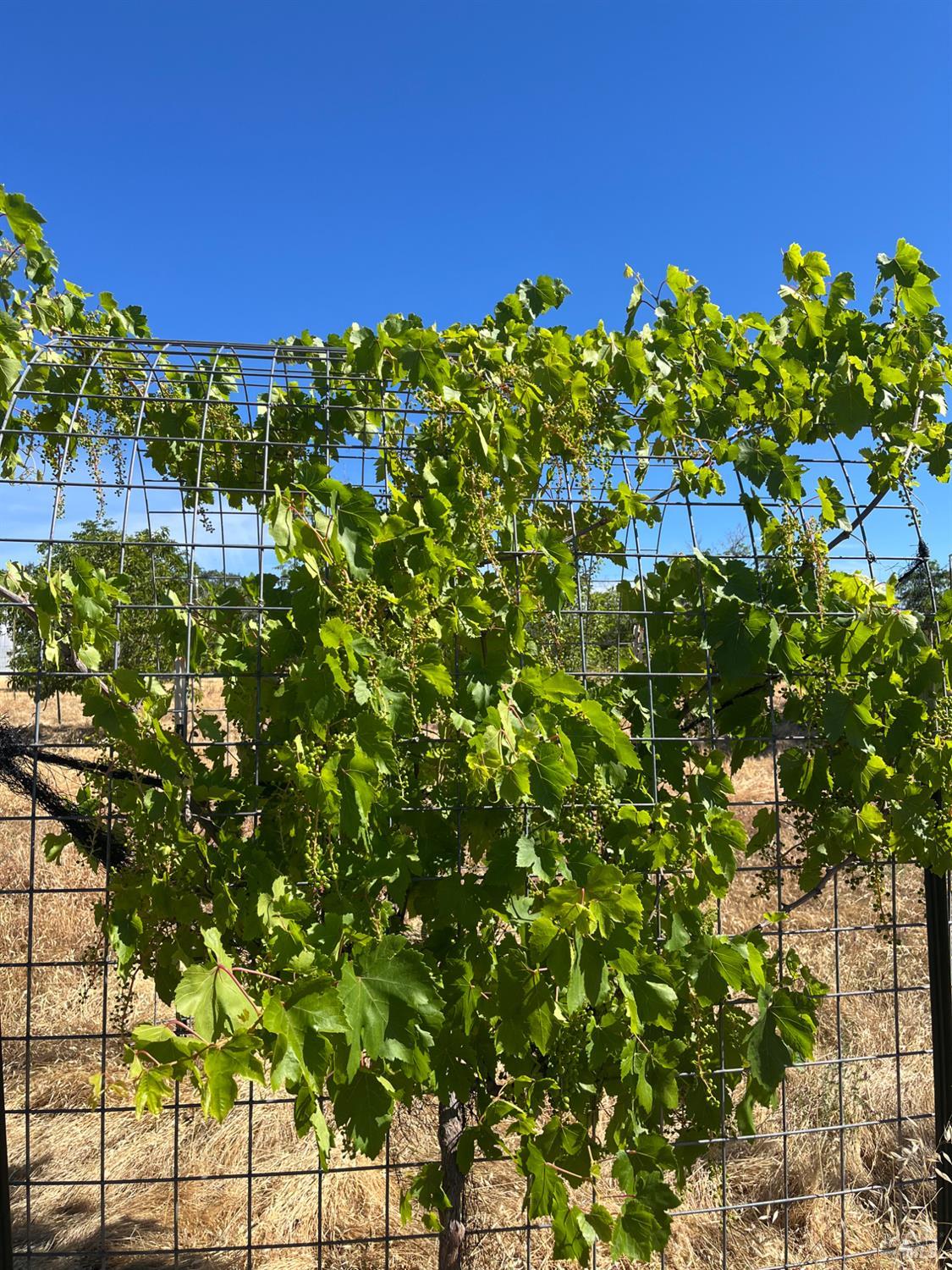 2192 Riggs Road Lakeport, CA 95453 - Photo 15 of 16