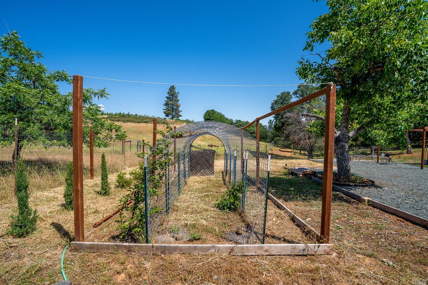 2192 Riggs Road Lakeport, CA 95453 - Photo 5 of 16 Garden, almond trees, views and close proximity to lake access- Clear Lake.