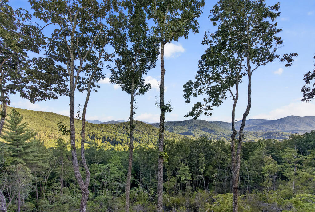 193-7 Figure Ridge Blue Ridge, GA 30513 - Photo 86 of 86 Gallery Image 86
