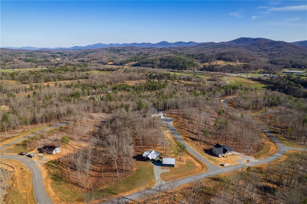 171 Split Creek Road Morganton, GA 30560 - Photo 3 of 18