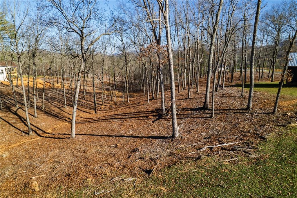 171 Split Creek Road Morganton, GA 30560 - Photo 5 of 18