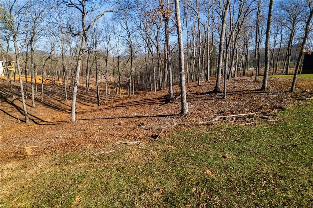 171 Split Creek Road Morganton, GA 30560 - Photo 6 of 18