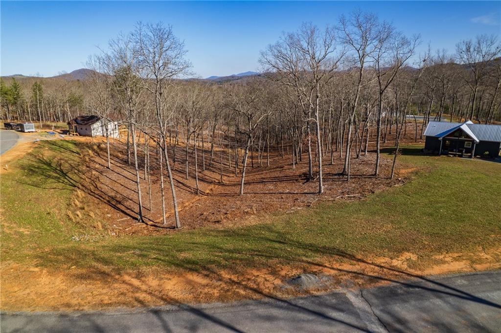 171 Split Creek Road Morganton, GA 30560 - Photo 7 of 18