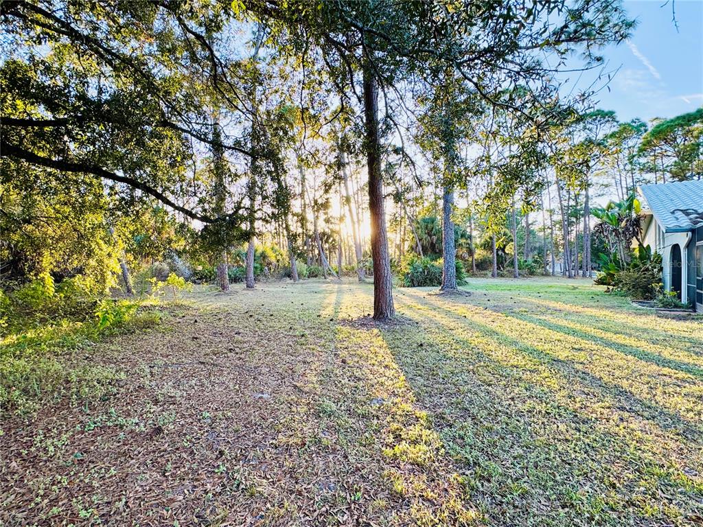 6068 Tidwell Street North Port, FL 34291 - Photo 15 of 92 a view of a yard with a tree