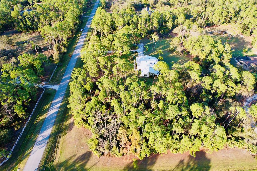 6068 Tidwell Street North Port, FL 34291 - Photo 77 of 92 a view of a tree