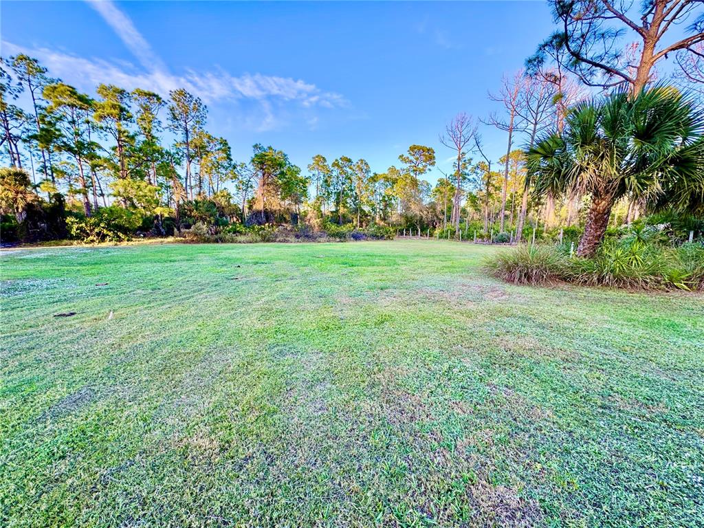 6068 Tidwell Street North Port, FL 34291 - Photo 84 of 92 a view of a garden