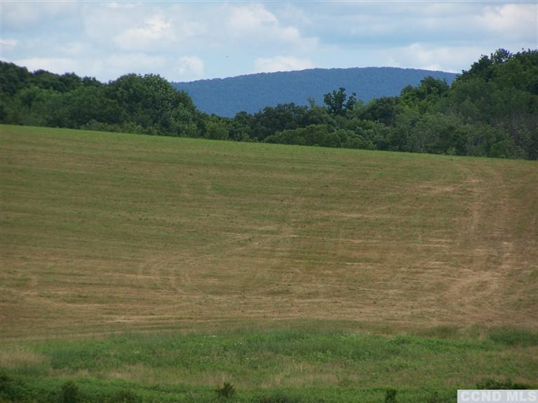 2 Copake Lake Road Taghkanic, NY 12521 - Photo 9 of 10 a view of a lake view and mountain view