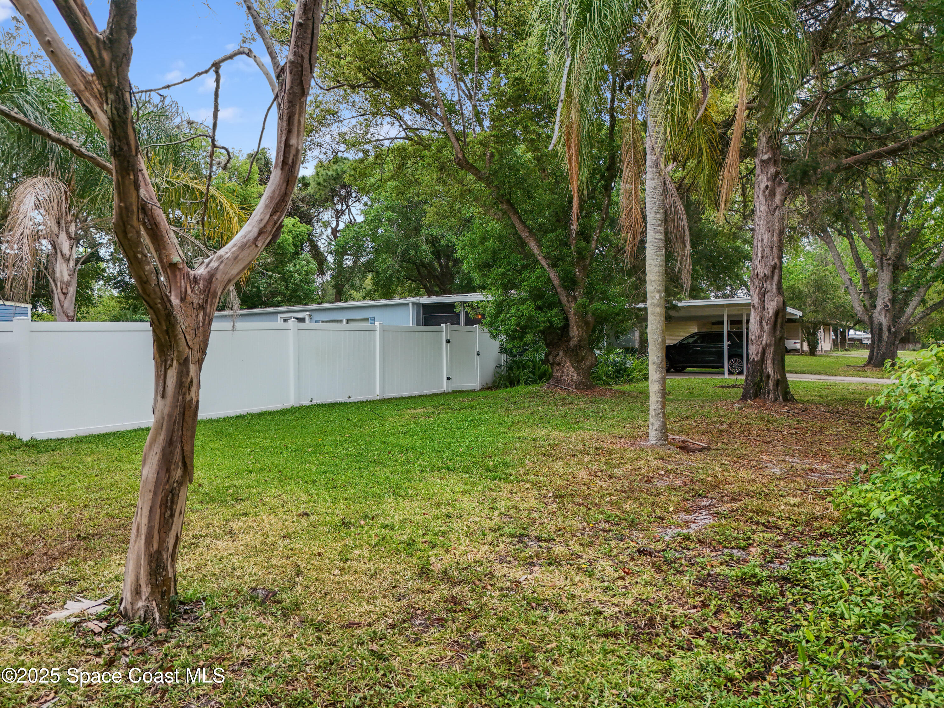 585 Canaveral Groves Boulevard Cocoa, FL 32926 - Photo 36 of 49 a view of a backyard with a tree
